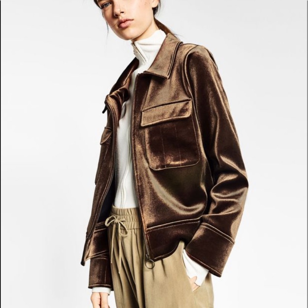 Zara Mink Velour Velvet Jacket